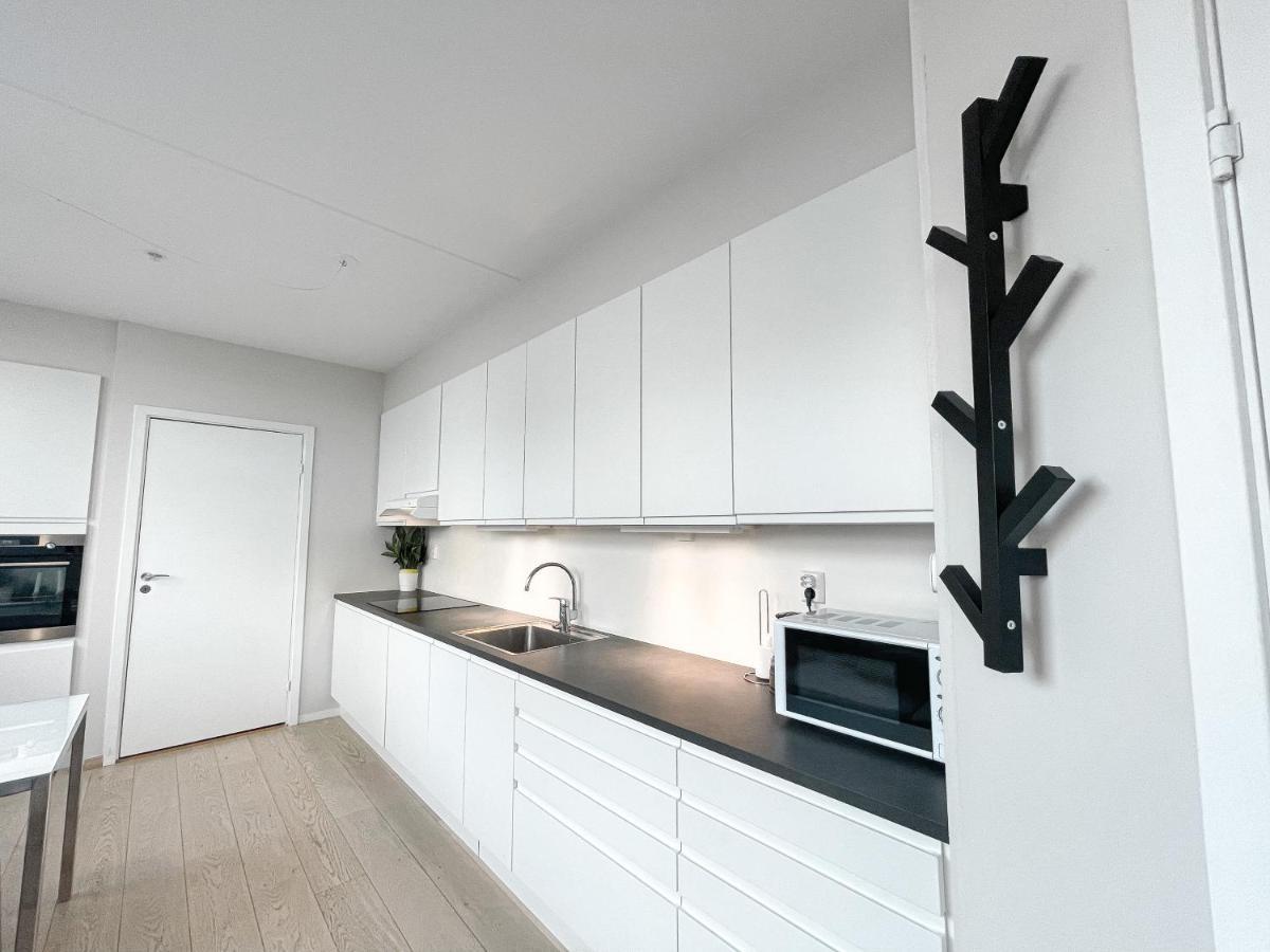 City Center Penthouse Apartment 奥斯陆 外观 照片