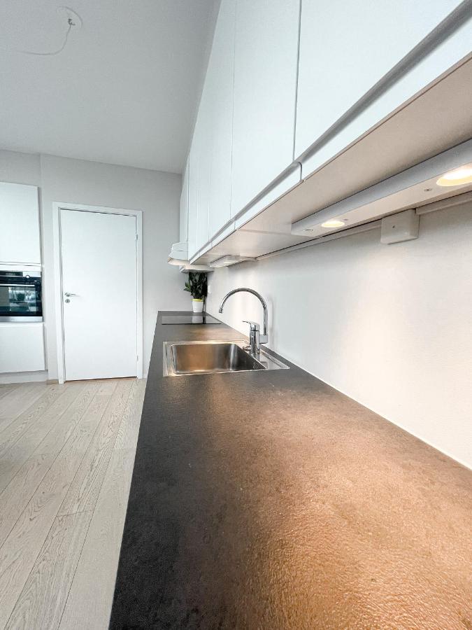 City Center Penthouse Apartment 奥斯陆 外观 照片