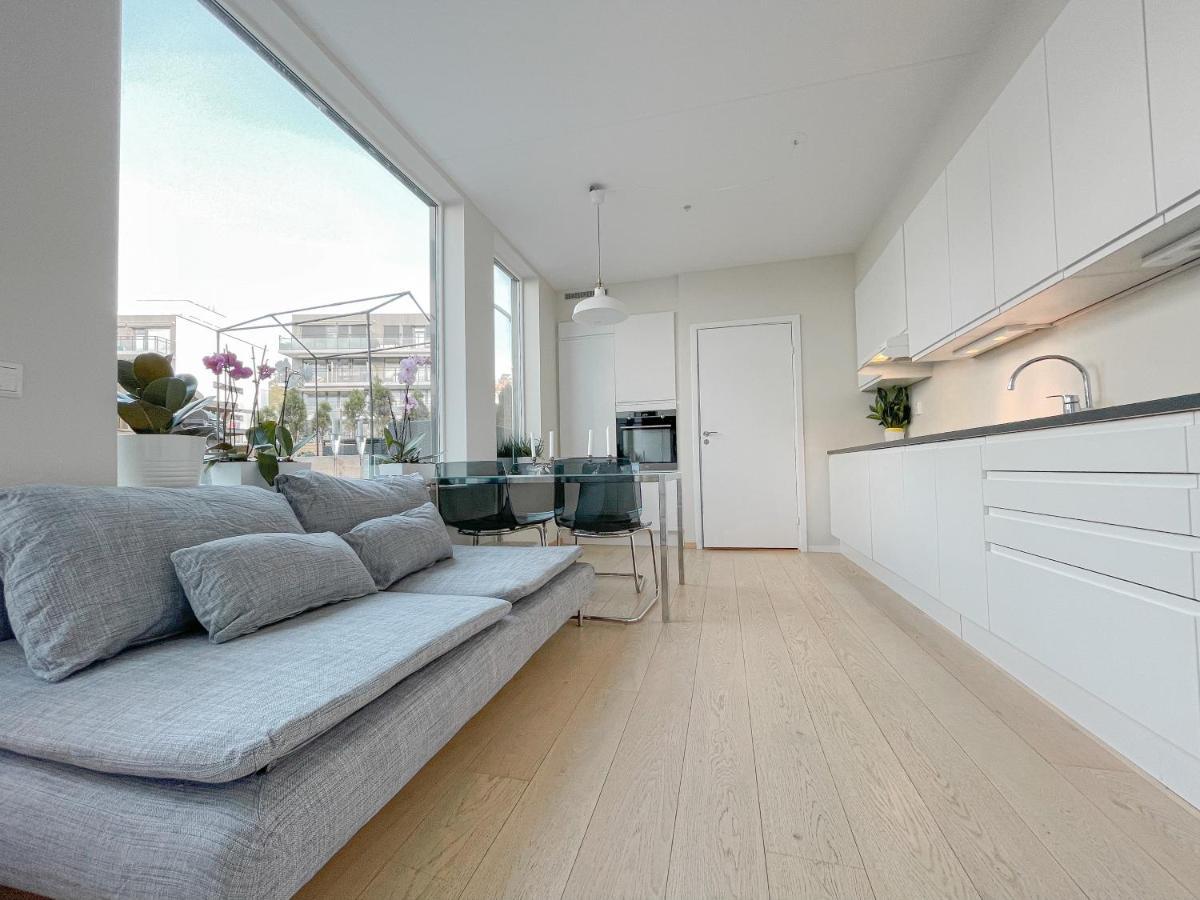 City Center Penthouse Apartment 奥斯陆 外观 照片